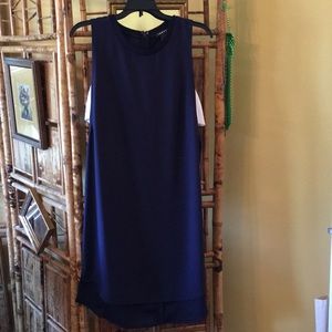 NWT Trouve Nordstrom Dress